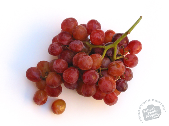 grapes, red grapes, grapes photo, grapes picture, grapes image, fruit, fruit photo, free photo, free images, stock photos, stock images, royalty-free image