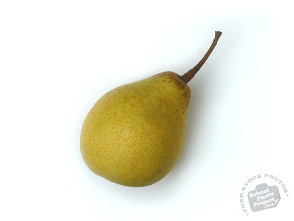 pear, pear photo, picture of pear, fruit photo, free images, stock photos, stock images, royalty-free image