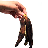rot banana, rotten banana peel, banana skin picture, free photo, royalty-free image