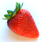 strawberry, strawberry photos, fruit photos, free foto, free photo, stock photos, picture, image, free images download, stock photography, stock images, royalty-free image