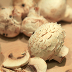 white mushroom, champignon, button mushroom, vegetable photos, veggie, free stock photo, royalty-free image