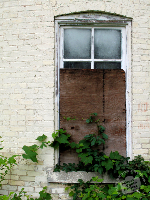 window, damaged window, sealed window, abandoned building, vine, architecture photo, building, free stock photos, free images, royalty-free image
