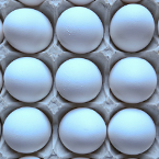 chicken egg, white egg, eggs in carton, free foto, free photo, picture, image, free images download, stock photography, stock images, royalty-free image
