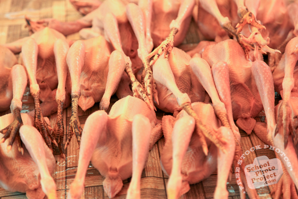 poultry meat, chicken meat, free stock photo, picture, free images download, stock photography, royalty-free image