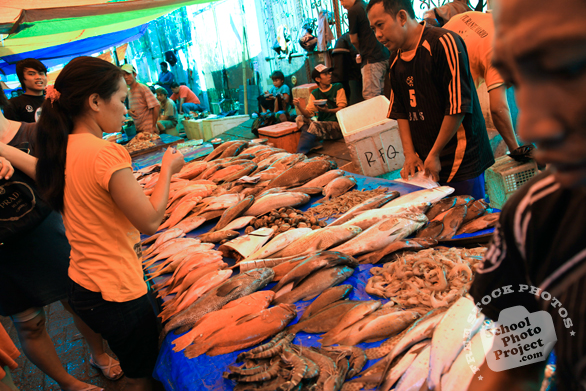 fishmonger, fish market, fish stall, fresh fish, seafood vendor, free stock photo, picture, free images download, stock photography, royalty-free image