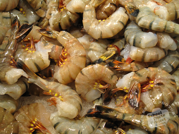 shrimp, shrimps, peeled shrimp, shrimp photo, seafood, free foto, free photo, stock photos, picture, image, free images download, stock photography, stock images, royalty-free image