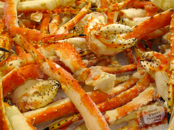 snow crab, crab legs, snowcrabs, snow crab photo, seafood, free foto, free photo, stock photos, picture, image, free images download, stock photography, stock images, royalty-free image