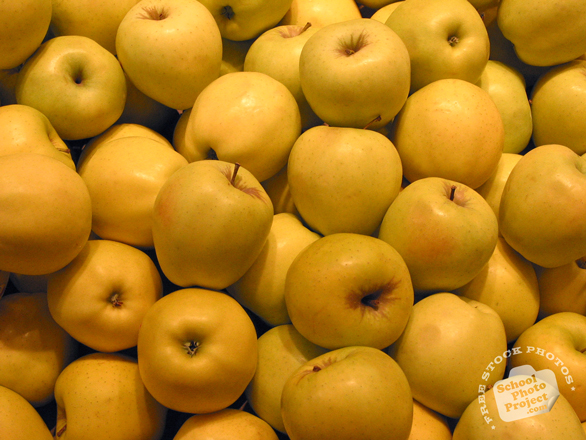 apple, fruits, fresh fruit, fruit photos, photo, free photo, stock photos, royalty-free image