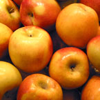 apple, fruits, fresh fruit photo, free stock photo, royalty-free image