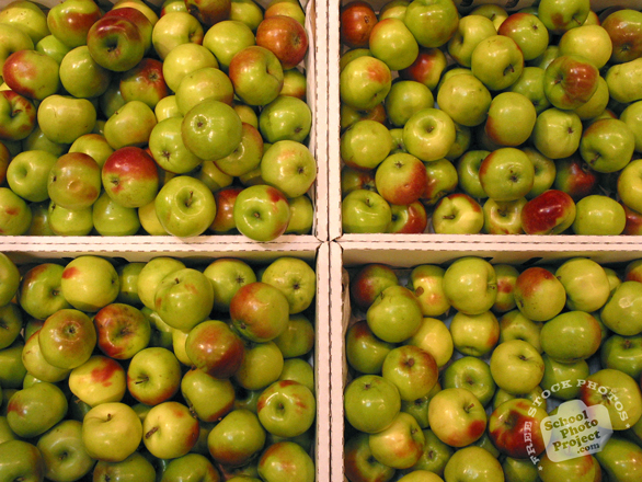 apple, green apple photo, fruit photo, free photo, free images, stock photos, stock images, royalty-free image