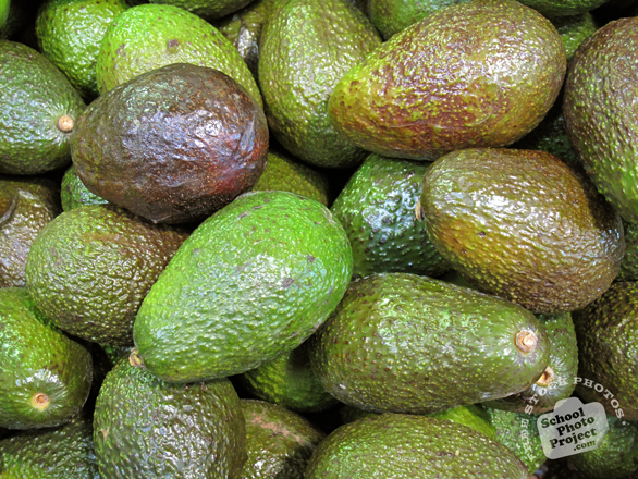 avocado, avocado photo, fruit photo, free photo, free images, stock photos, stock images, royalty-free image