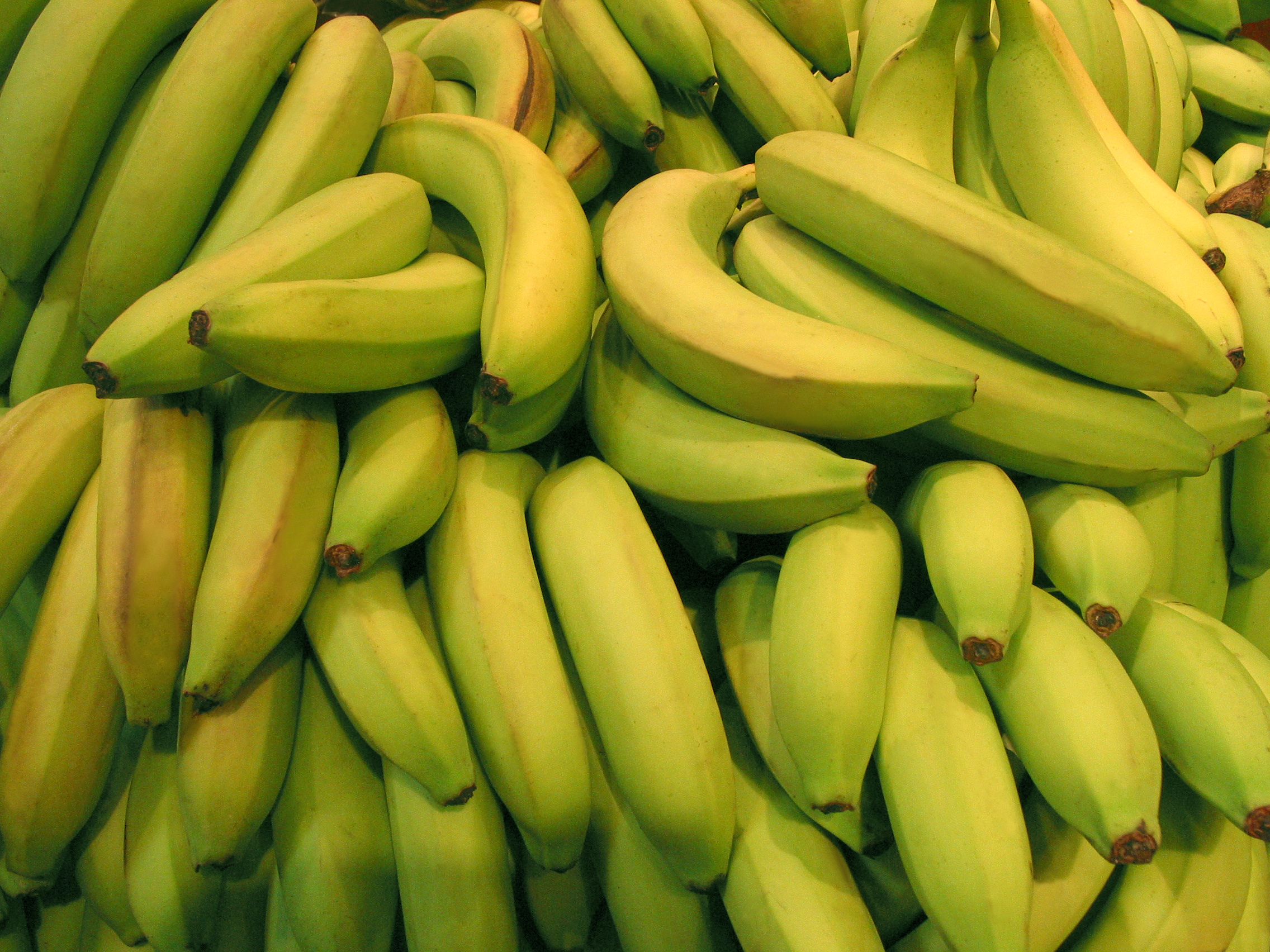 FREE Green Banana Photo, Fresh Bananas Image, Royalty-Free Fruit Stock ...