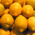 lemon, fruit, fresh fruits, fruit photos, photo, free photo, stock photos, royalty-free image
