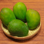 mangos, green mangos, mango photos, tropical fruit photo, free stock photo, free picture, free image download, stock photography, stock images, royalty-free image