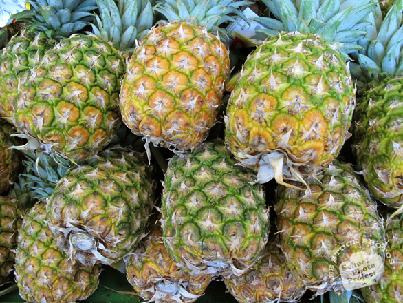 pineapple, pineapple photo, picture of pineapples, fruit photo, free images, stock photos, stock images, royalty-free image