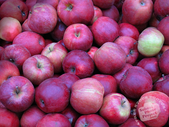 apple, red apple photo, picture of red apples, fruit photo, free images, stock photos, stock images, royalty-free image