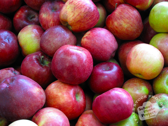 apple, red apples, picture of apples, fruit photo, free images, stock photos, stock images, royalty-free image