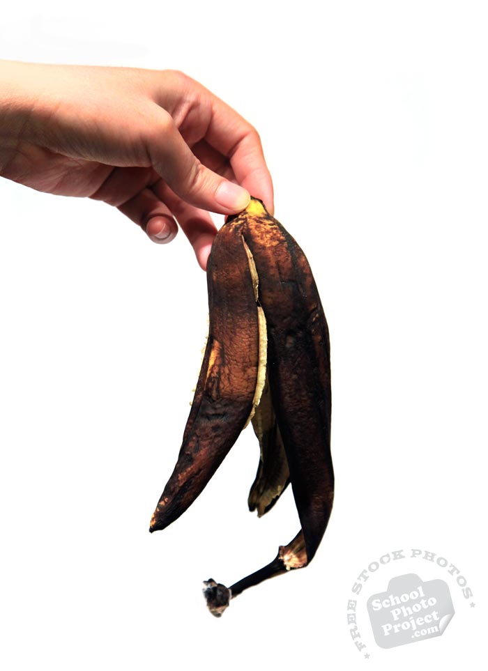 spoiled banana skin, hand holding banana peel, rot banana skin photo, fruit photo, free stock photo, free picture, stock photography, stock images, royalty-free image