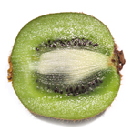 kiwi, kiwifruit, sliced kiwi, kiwi kiwi picture, kiwi image, fresh fruit photo, free stock photo, royalty-free image