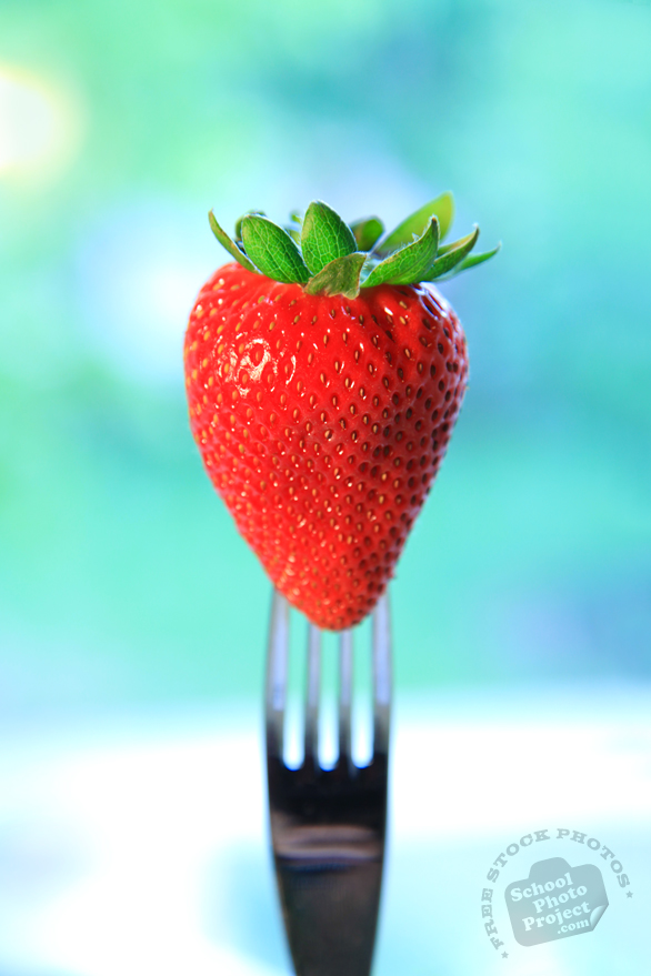 strawberry, strawberry photos, picture of strawberry on fork, fruit photo, utensil fork, free stock photo, free picture, stock photography, stock images, royalty-free image