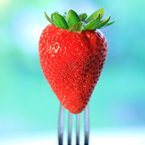 strawberry, strawberry photos, fruit photo, utensil fork, free stock photo, free picture, free image download, stock photography, stock images, royalty-free image