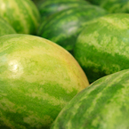 watermelons, watermelon photos, fruit photo, free stock photo, free picture, free image download, stock photography, stock images, royalty-free image