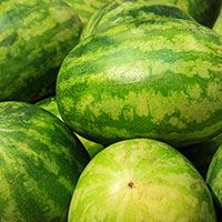 watermelons picture, free photo, royalty-free image