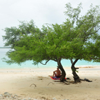 bather, tree, sandy beach, seaside, peaceful, tranquility, serenity, tropical island, panorama, nature photo, free stock photo, free picture, stock photography, royalty-free image