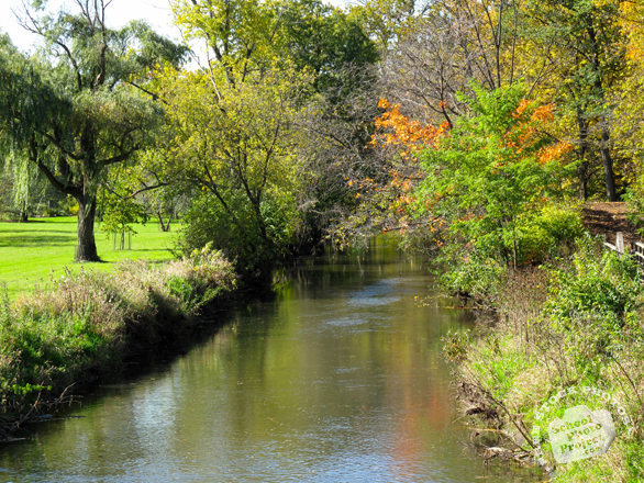 creek, river, lush trees, colorful autumn leaves, fall season foliage, panorama, nature photo, free stock photo, free picture, stock photography, royalty-free image
