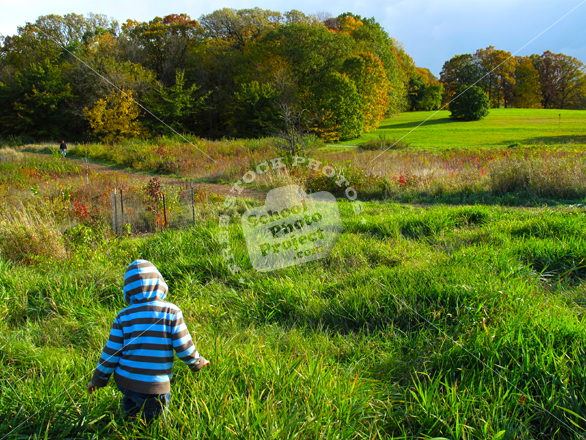 boy walking in meadow, grassy, colorful autumn leaves, fall season foliage, sunny sky, panorama, nature photo, free stock photo, free picture, stock photography, royalty-free image
