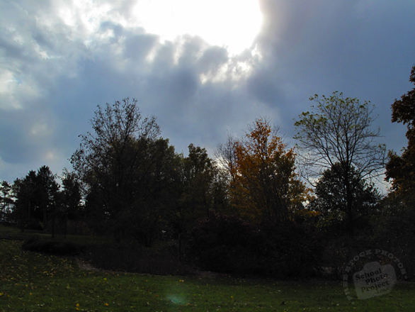 oak, maple trees, grassy, cloudy sky, silhouette, fall season foliage, panorama, nature photo, free stock photo, free picture, stock photography, royalty-free image