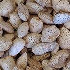 almonds, almond picture, free stock photo, royalty-free image