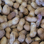 peanuts, peanut picture, free stock photo, royalty-free image