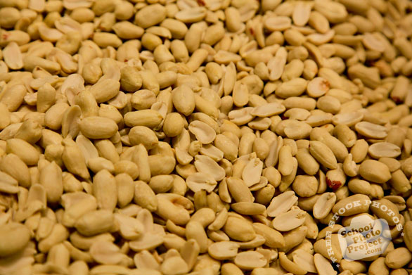 peanuts, dried peanuts, peeled peanut, nuts, free stock photo, free image, royalty-free image