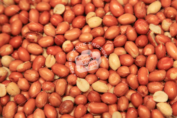 fried salted peanut, Spanish peanuts, peanuts, nuts, stock photo, royalty-free image