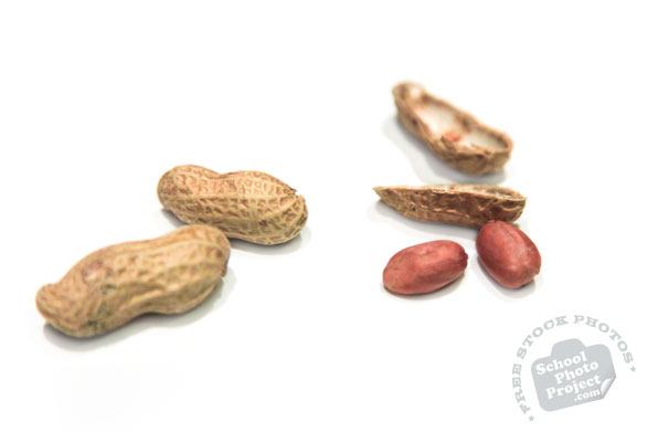 dried peanuts, peanut shell, nuts, free stock photo, free image, royalty-free image