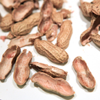 peanut shell, peanut skin, nuts, free stock photo, free image, royalty-free image