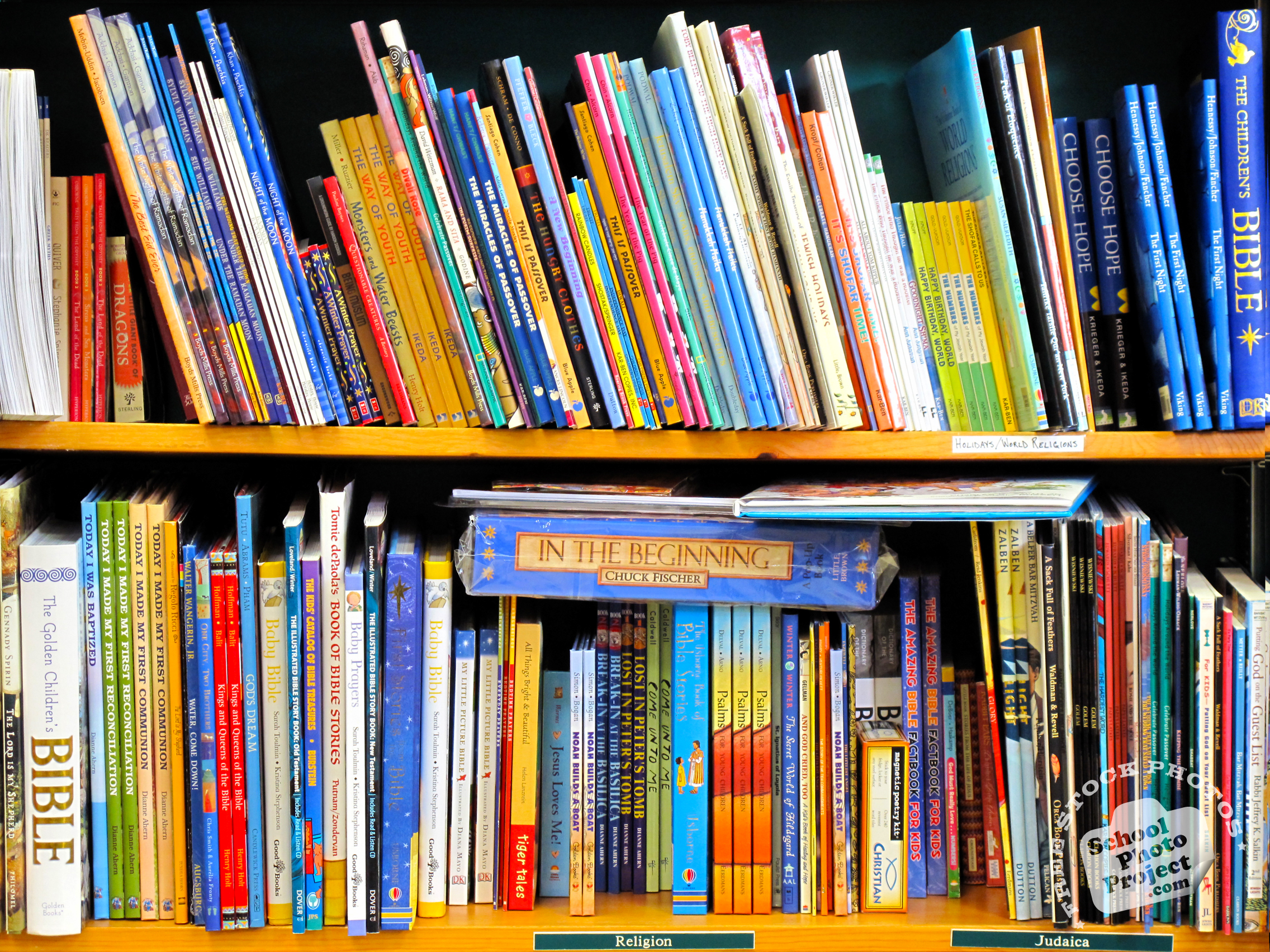 Books, FREE Stock Photo, Image, Picture: Books in Bookcase, Royalty