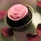 rose, cupcake, rose petals, Valentine's Day, seasonal picture, holidays celebration, free stock photo, free picture, stock photography, royalty-free image