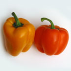 bell pepper, vegetable picture, free stock photo, royalty-free image
