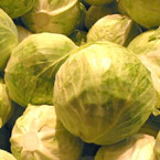 cabbage, vegetable, fresh veggie, vegetable photo, free stock photo, free picture, stock photography, royalty-free image