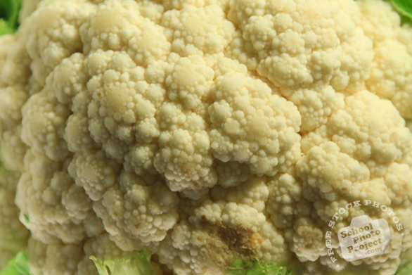 white cauliflower, cauliflower texture, vegetable, fresh veggie, vegetable photo, free stock photo, free picture, stock photography, royalty-free image