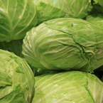 flat cabbage, vegetable photos, veggie, free stock photo, royalty-free image