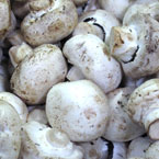mushroom, vegetable, fresh veggie, vegetable photo, free stock photo, free picture, stock photography, royalty-free image