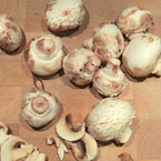 white mushroom, champignon, button mushroom, mushroom slices, vegetable photos, veggie, free stock photo, royalty-free image