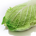 napa cabbage, vegetable, fresh veggie, vegetable photo, free stock photo, free picture, stock photography, royalty-free image