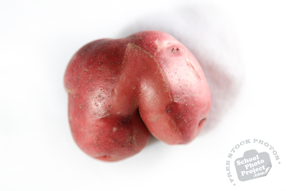 potato, red potato, vegetable, fresh veggie, vegetable photo, free stock photo, free picture, stock photography, royalty-free image