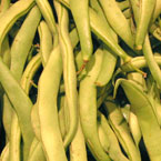 string beans, vegetable, fresh veggie, vegetable photo, free stock photo, free picture, stock photography, royalty-free image