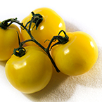yellow tomato, fresh tomato, vegetable, fresh veggie, vegetable photo, free stock photo, free picture, stock photography, royalty-free image