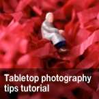 tabletop photo, tabletop photography, photo studio, photography studio, setting up a photo studio, home photo studio, photo tutorial, lighting, studio lighting, portrait lighting, photo technique, photo tips